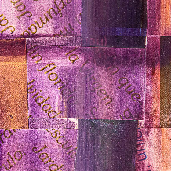 Patricia Nicolía Flores