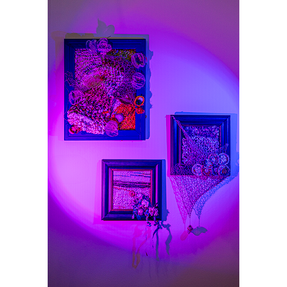 Elemento agua / Escenas