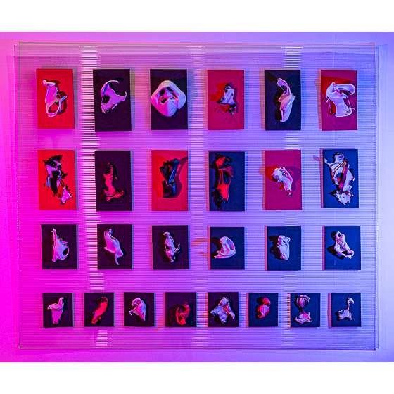 Personajes / Miniesculturas